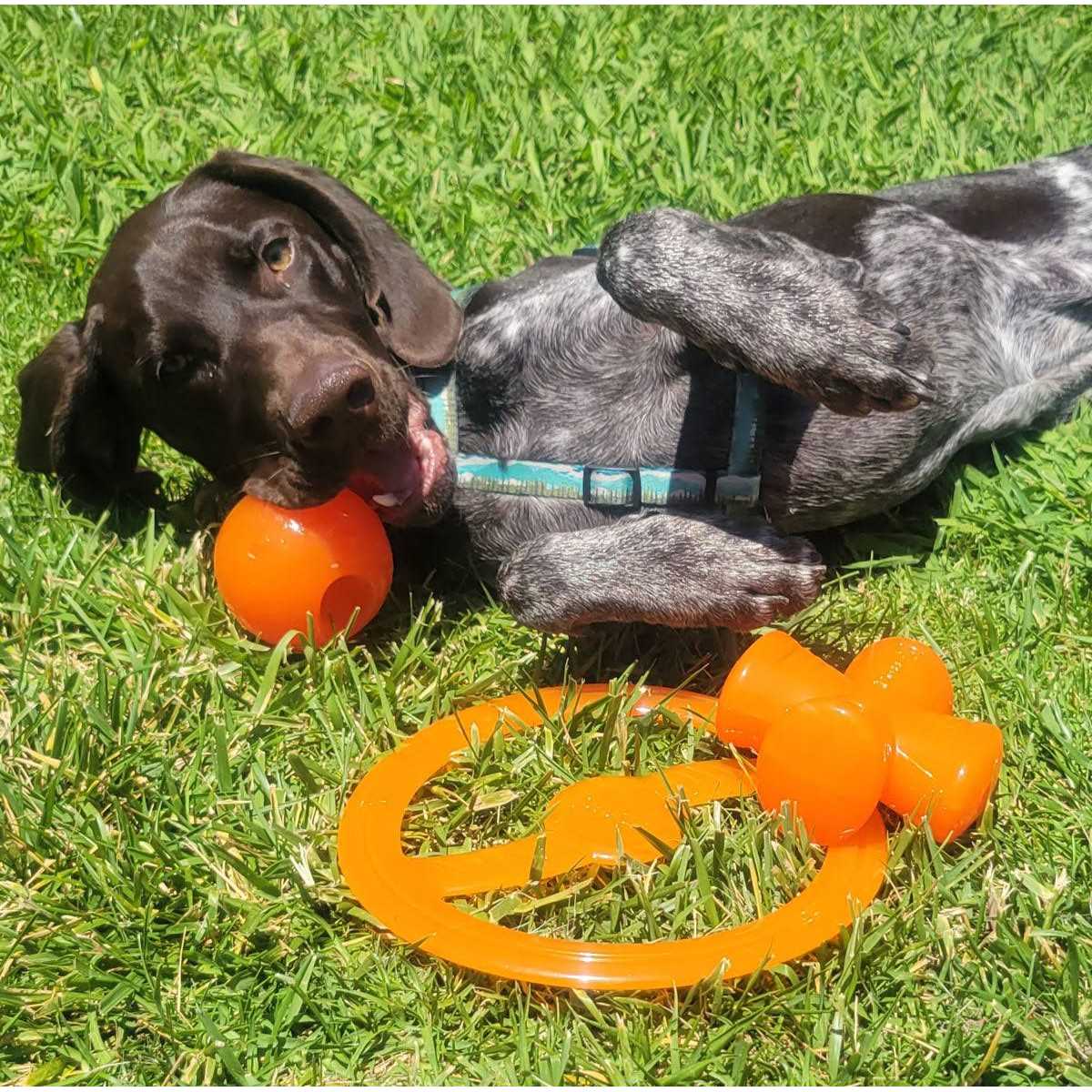 Dog Toy U688