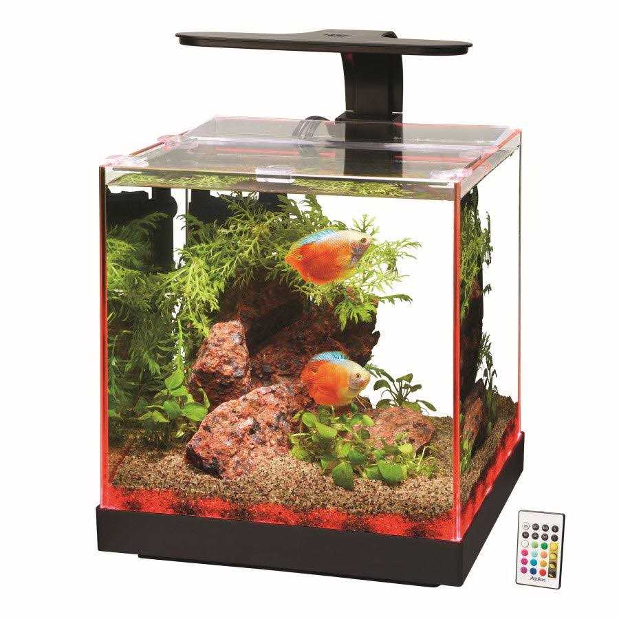 Aquarium P191818