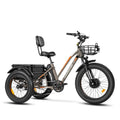 White Electric Tricycle W310