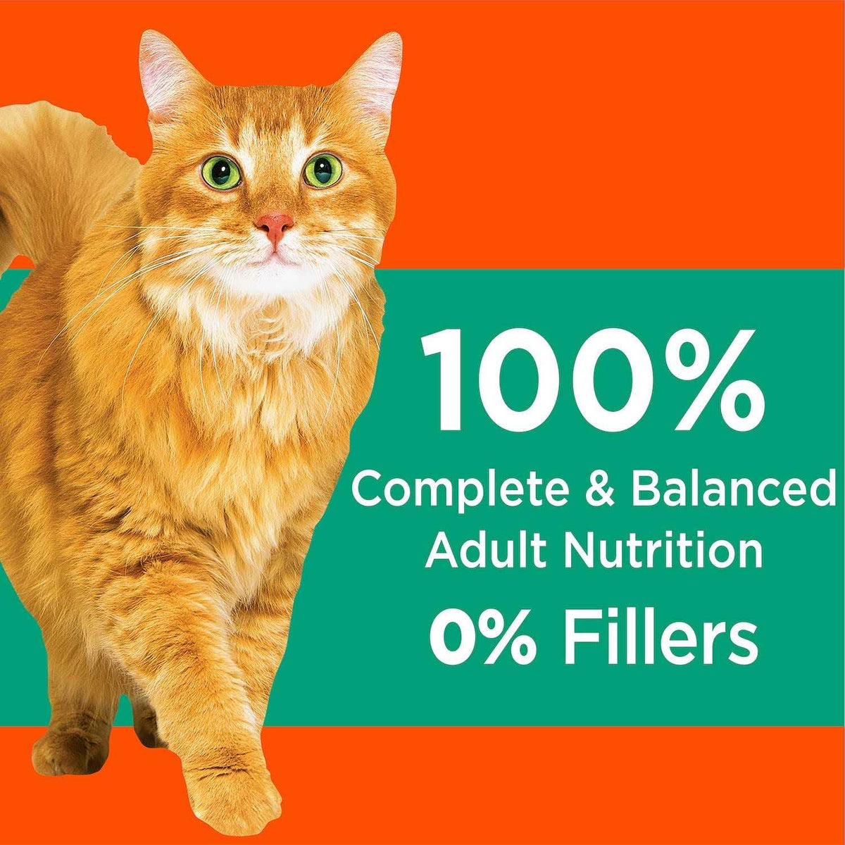 Adult Cat Dry Food K31748