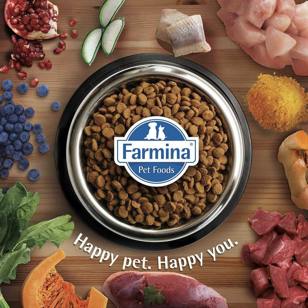 Chicken & Pomegranate Dry Cat Food O2494