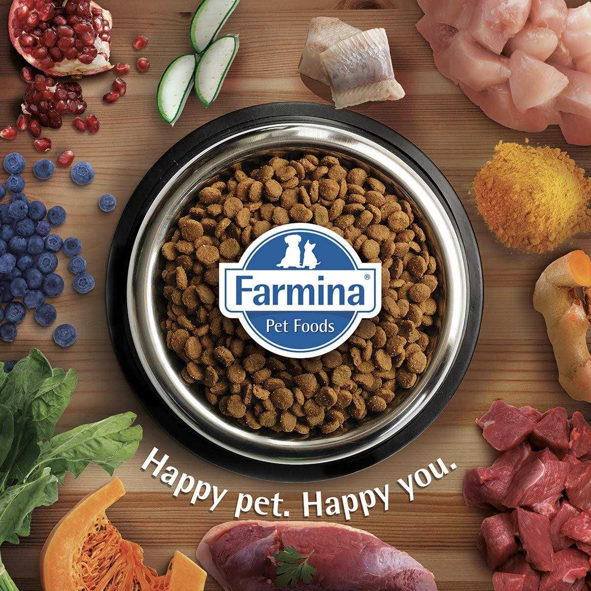 Chicken & Pomegranate Dry Cat Food O2494