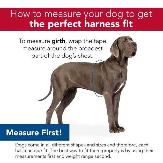 Adjustable Metallic Dog Harness U8195