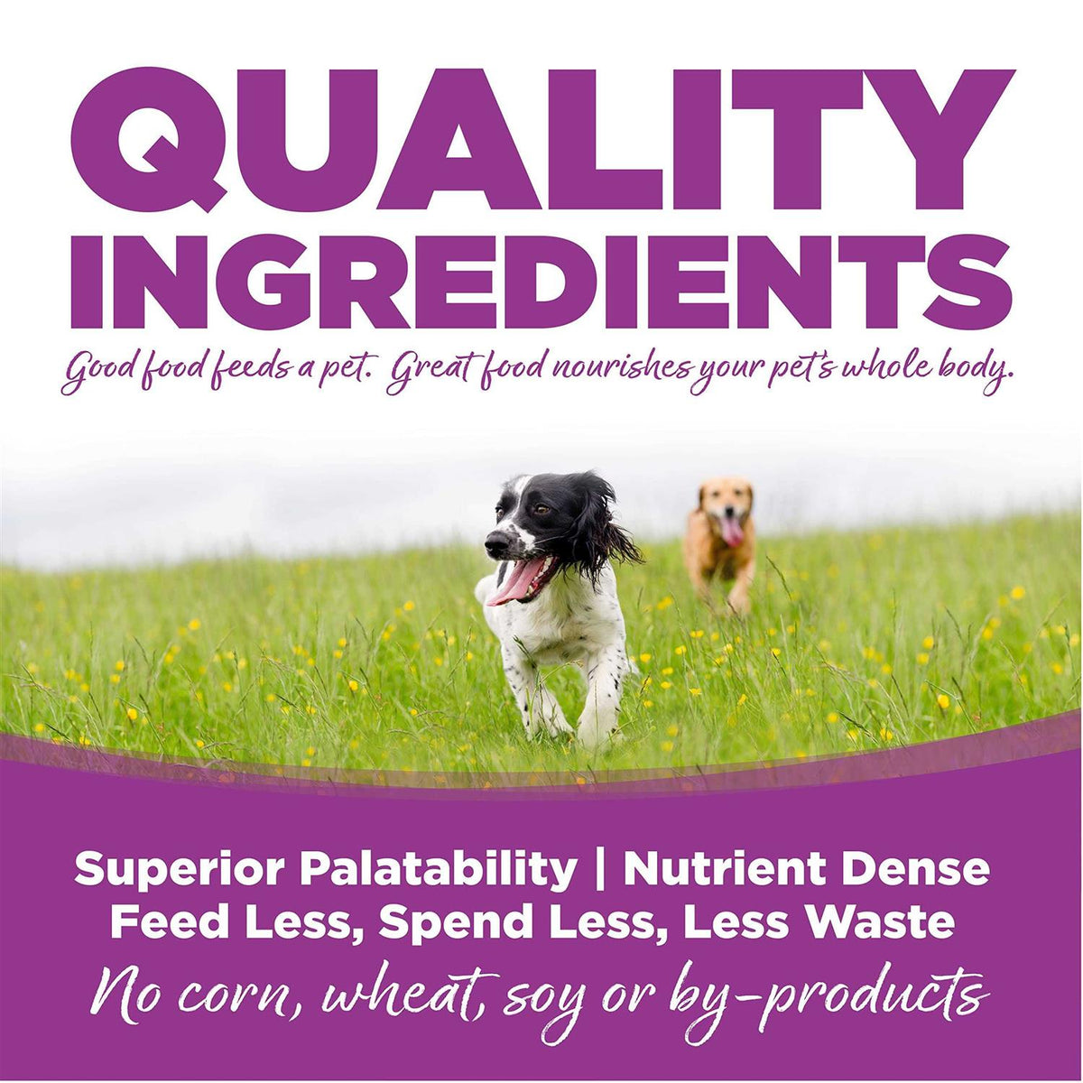 Chicken Rice Large-Breed Puppy Dry Dog Food X95997