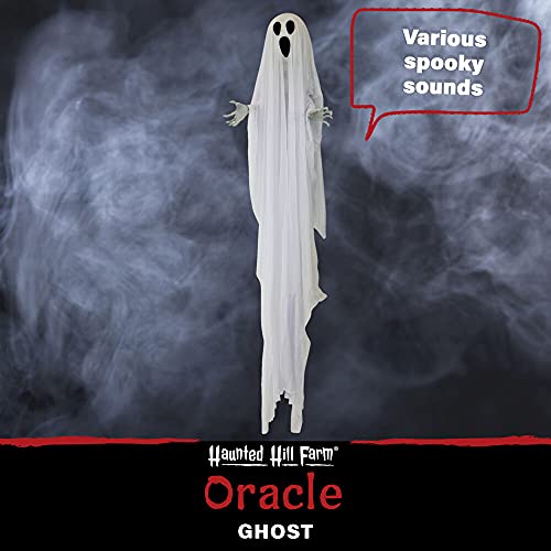 Life-Size 6-Ft Talking Ghost Halloween Animatronic with Lights and Sound D190235