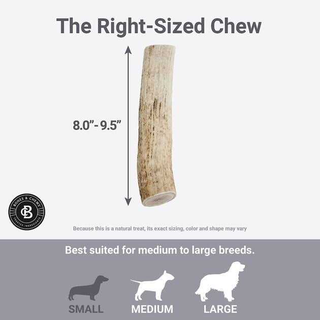 Elk Antler Dog Chew N291736