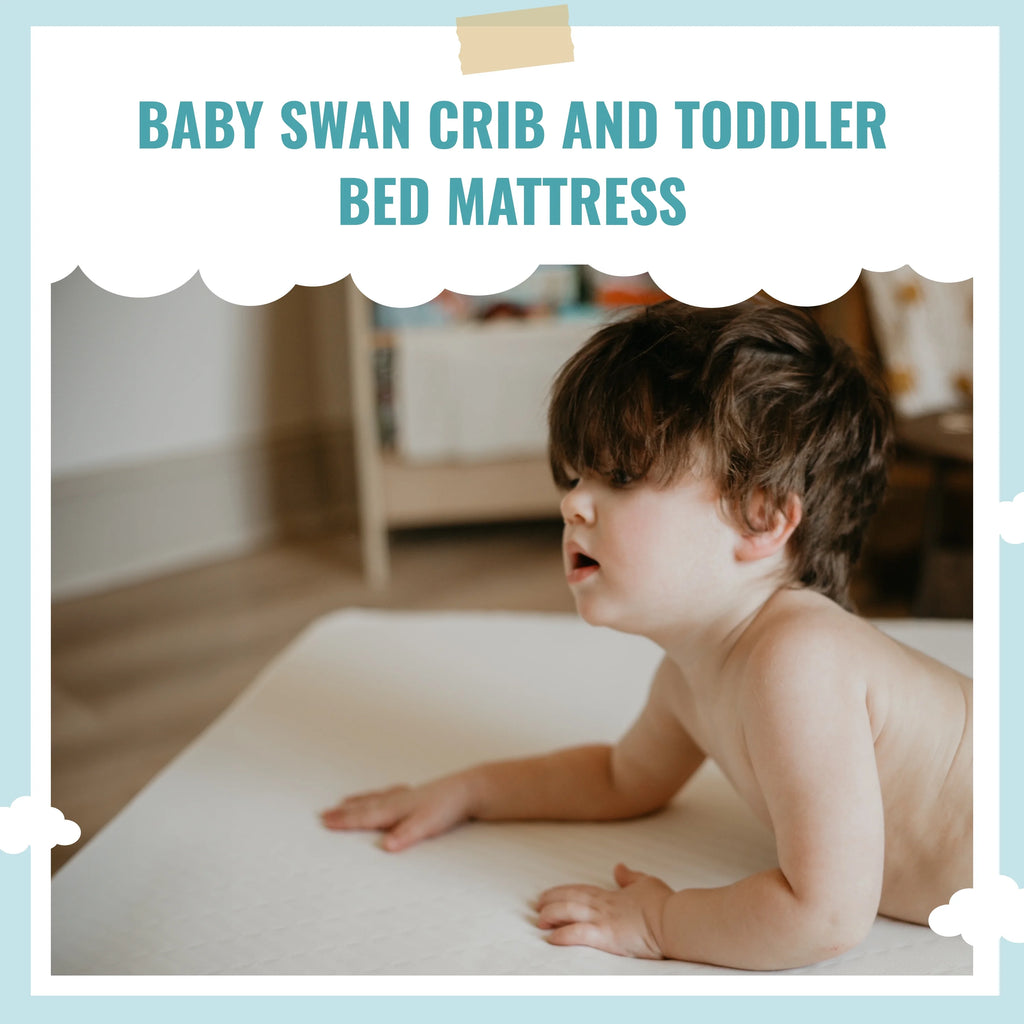 Foam Crib & Toddler Mattress C526335