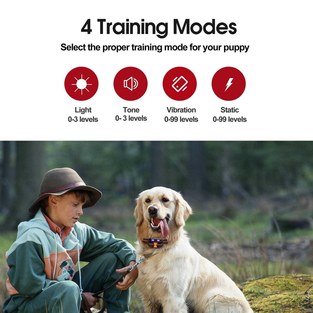 Remote Training Dog Collar D37110