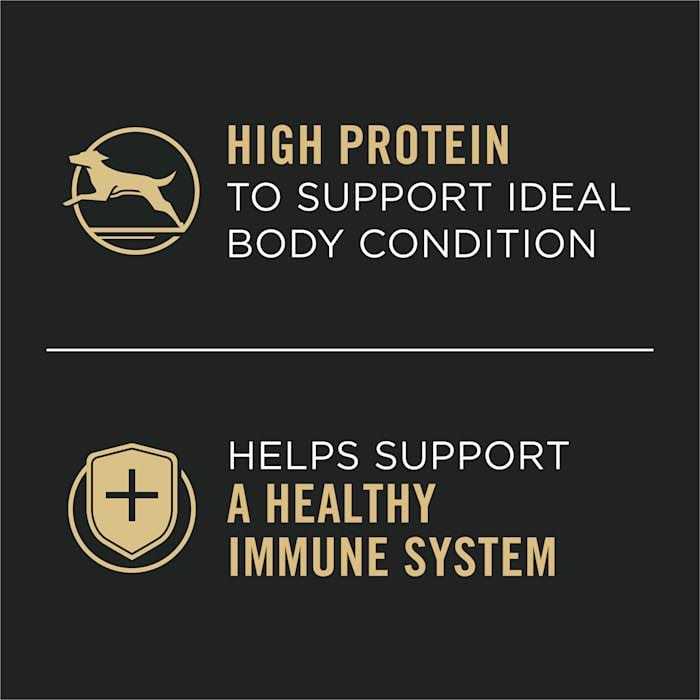 High Protein Wet Dog Food Chicken and Carrots Z9132