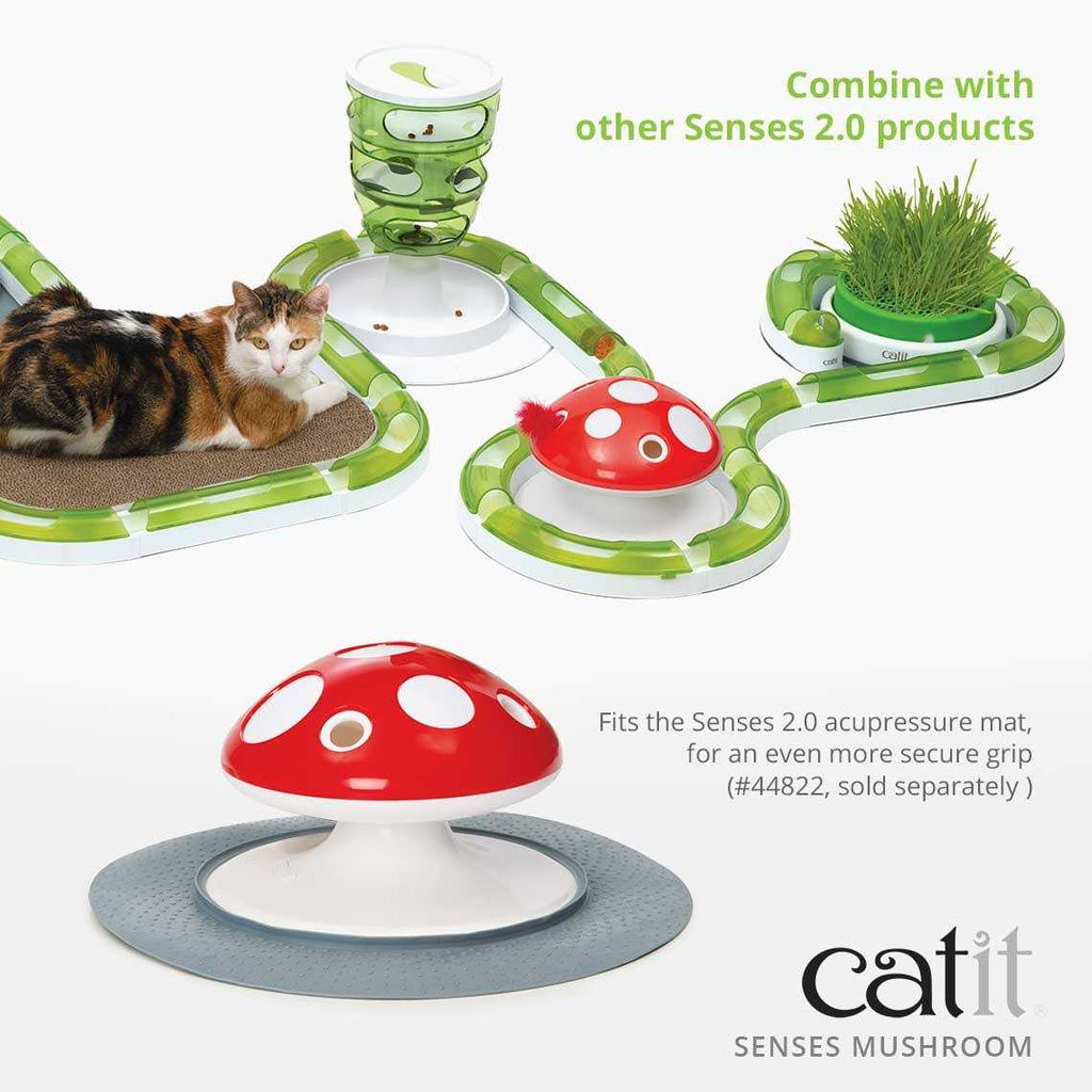 Interactive Cat Toy X975418