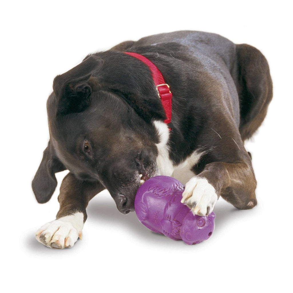 Squirrel Dude Dog Toy L541912