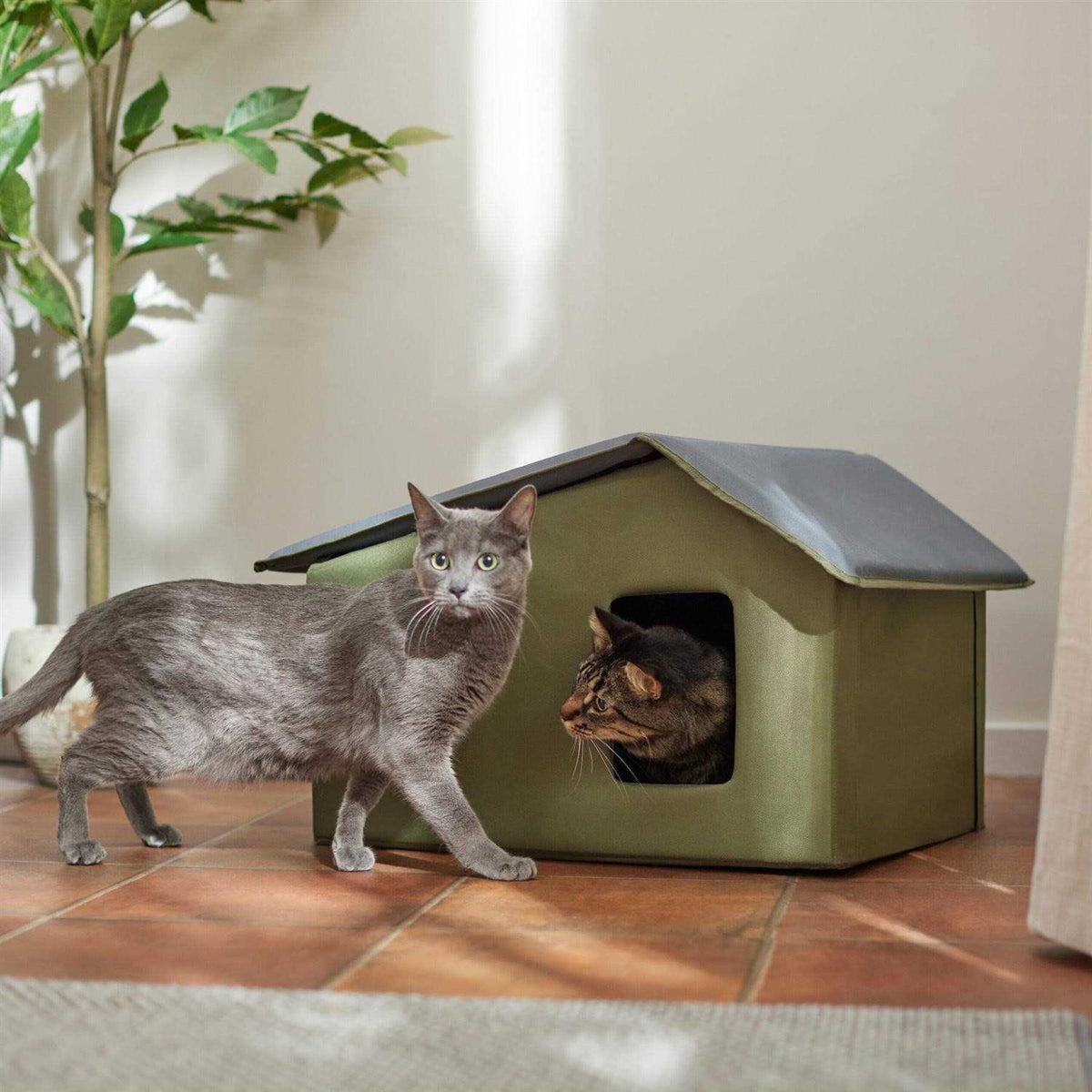 Extra Wide Indoor Cat House U782