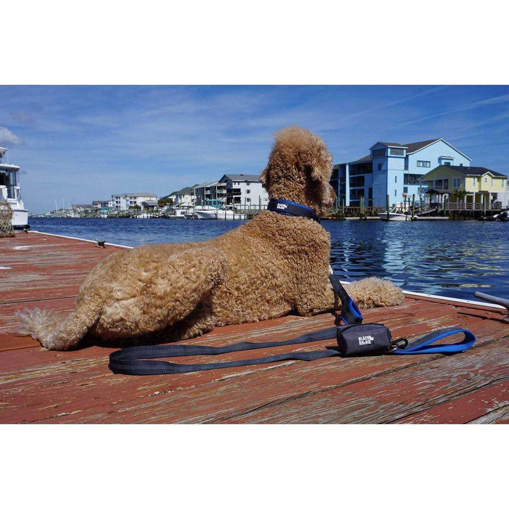 Heavy Duty Dog Leash Z970