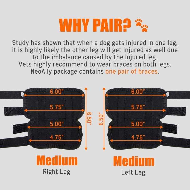 Dog Rear Leg Hock Metal Spring Strips Q951384