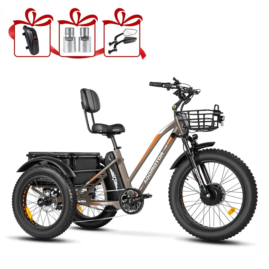 White Electric Tricycle W310