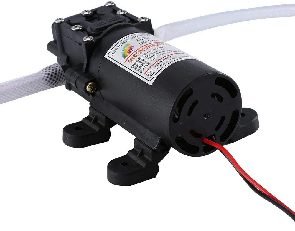 12V 60w Electric Oil Extractor Pump Kit Pack of 2 H6900