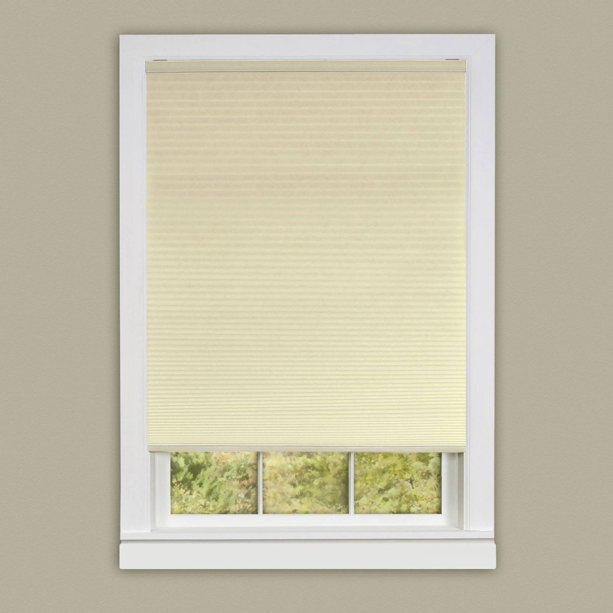 Honeycomb Cellular Cordless Shade Q210
