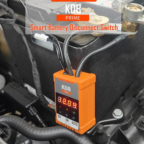 12V Car Battery Protector Automatic Power-off Switch D117329