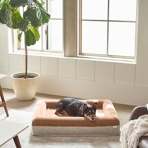 Beige Medium Orthopedic Rectangular Bolster Cat & Dog Bed Z92248