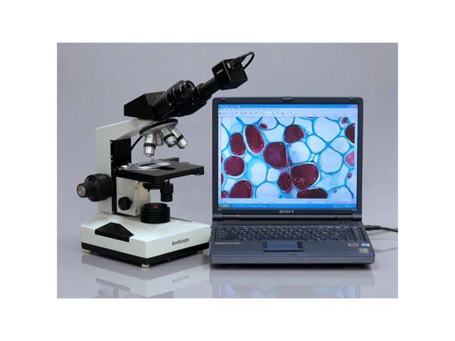 40X-1600X Compound Biological Microscope T9824