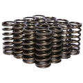 Single Inner Valve Springs C646