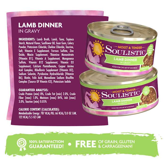 Wet Cat Food N9096