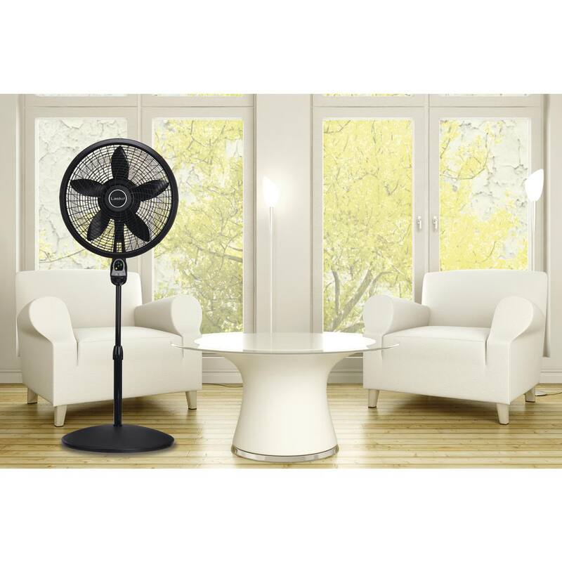 16 in. 3 Speed Oscillating Pedestal Fan with Adjustable Height in Black C713142