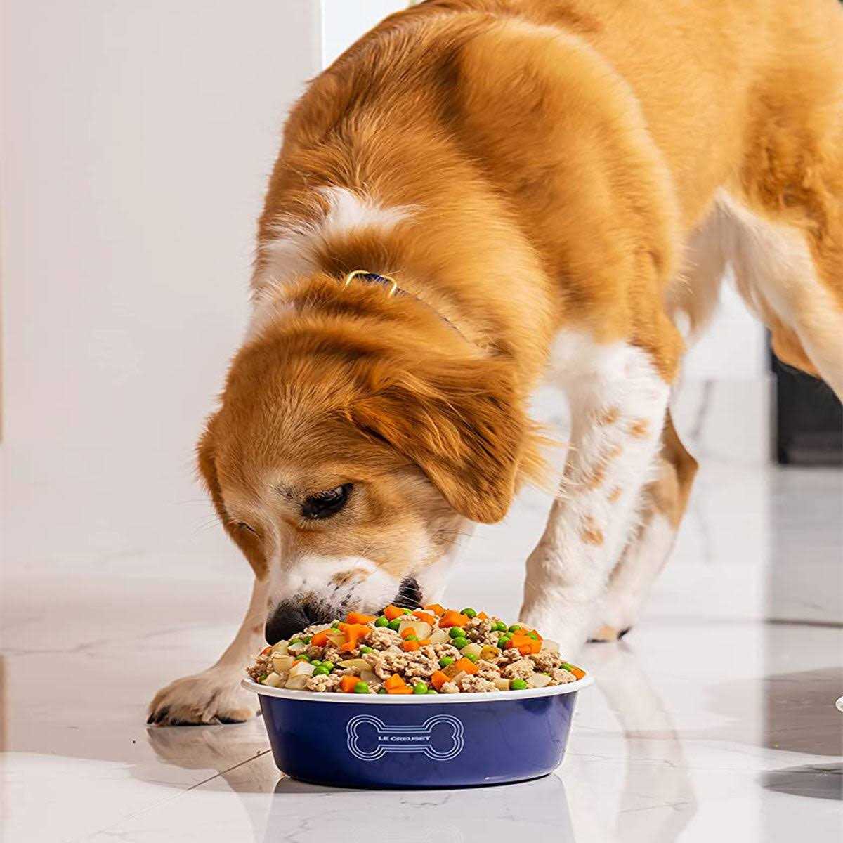 Dog Bowl M5921