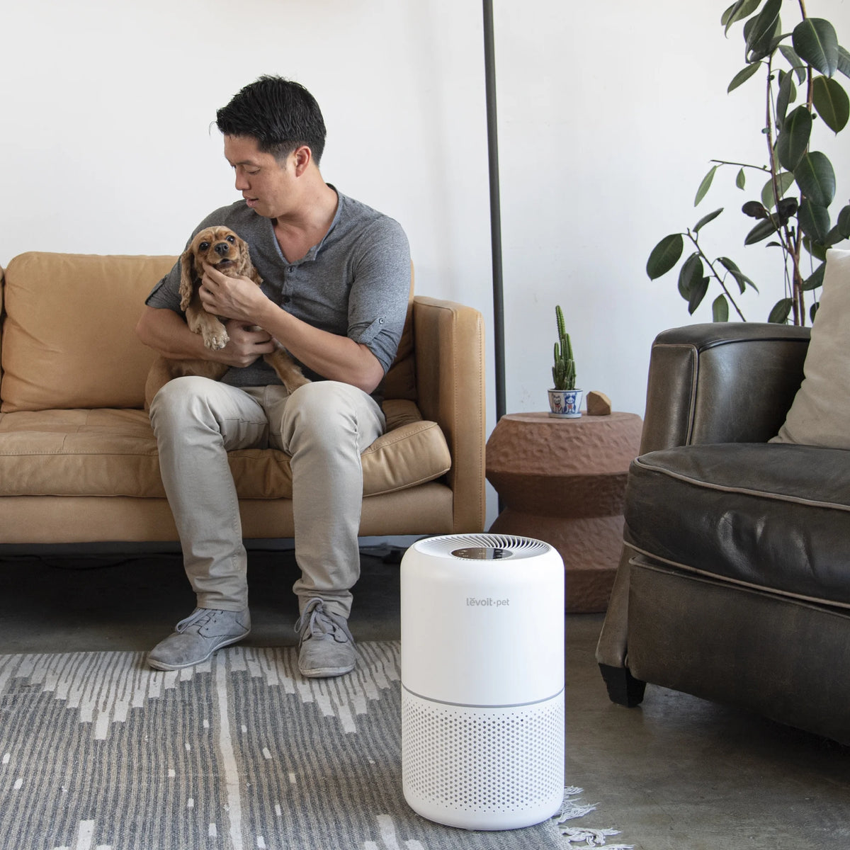 White True HEPA Air Purifier D613