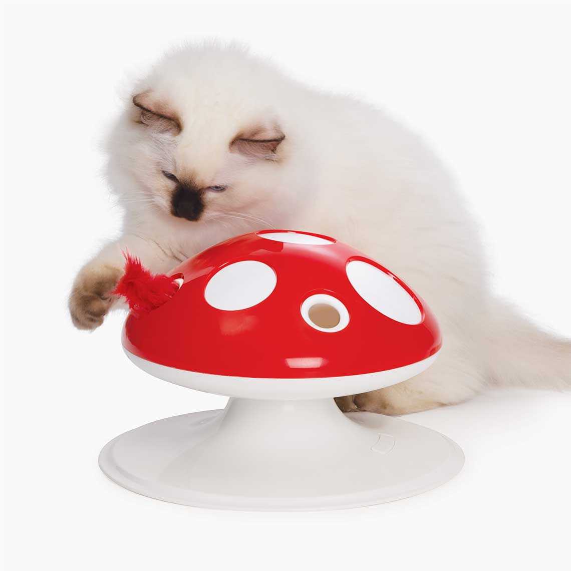 Interactive Cat Toy X975418