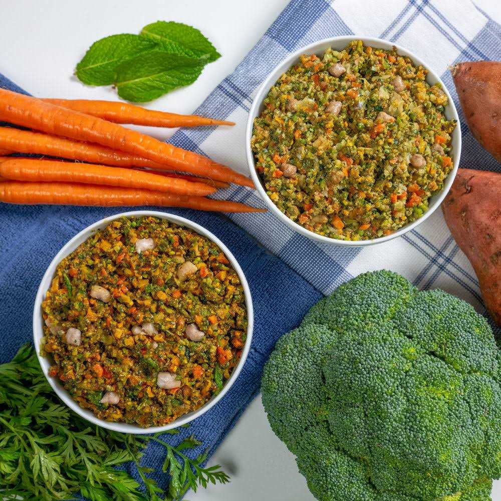 Salmon Recipe Human Grade Dog Food Y317