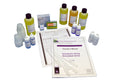 Simulated Urine Urinalysis Lab Activity J797