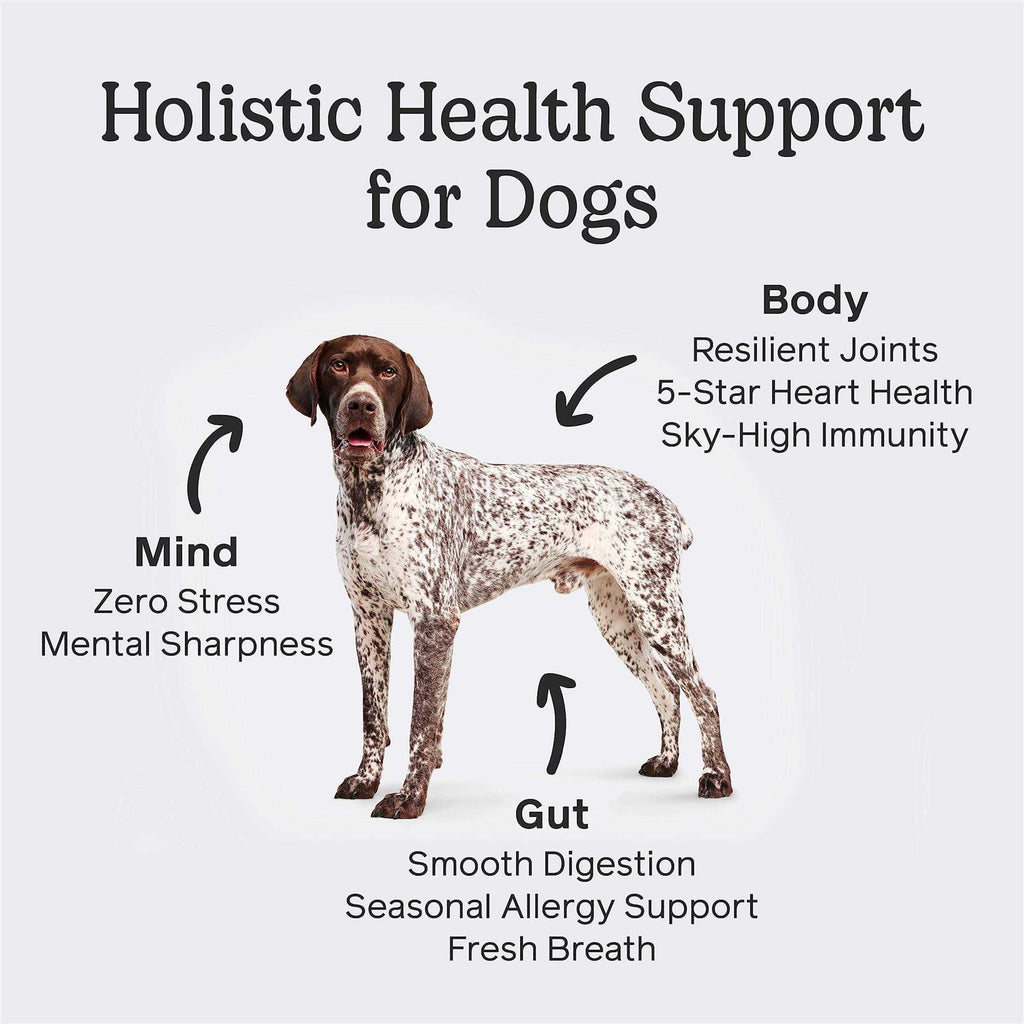 Dog Pet Supplies C347331