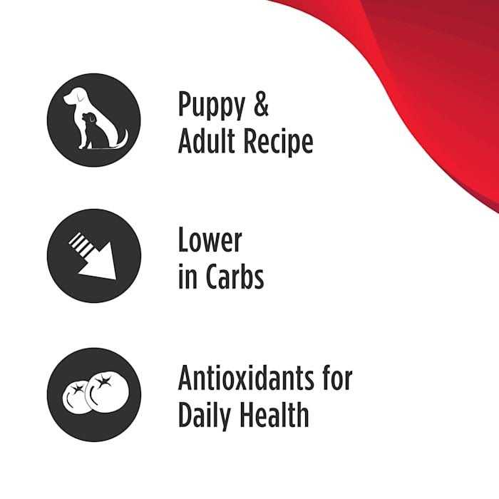 Grain Free Salmon Dog Food H444