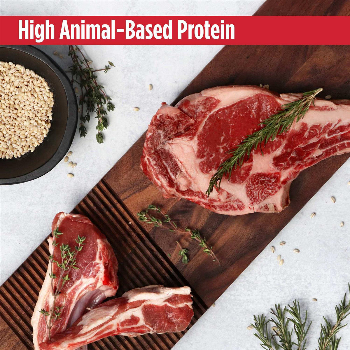 Dry Dog Food P34173