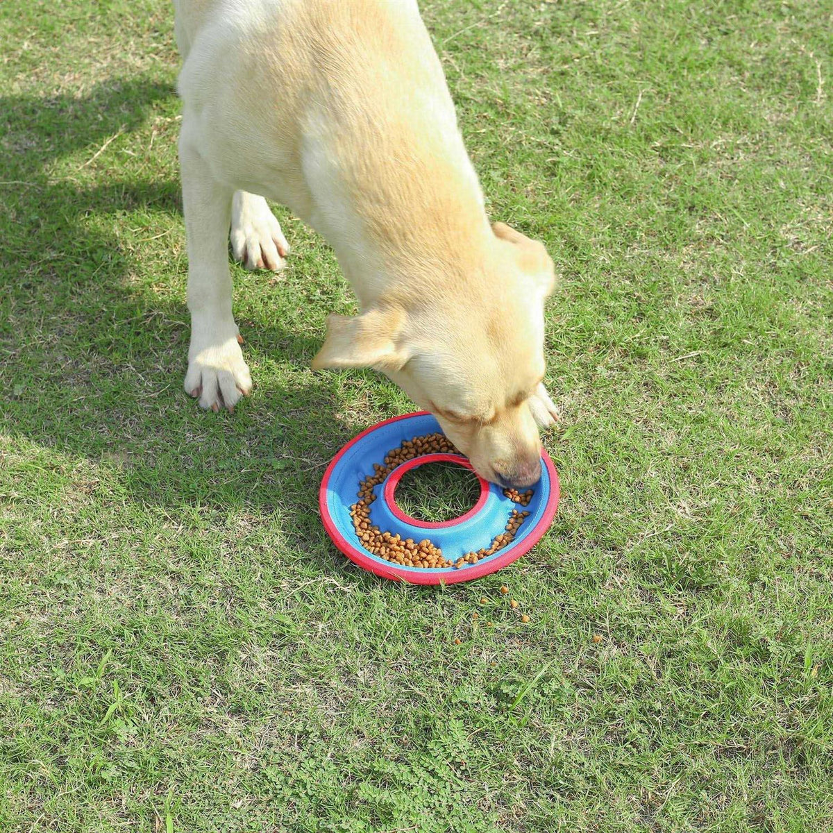 Bite Resistance Disc Bowl A693377