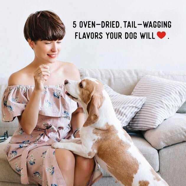 Chicken Jerky Dog Treats Q43709