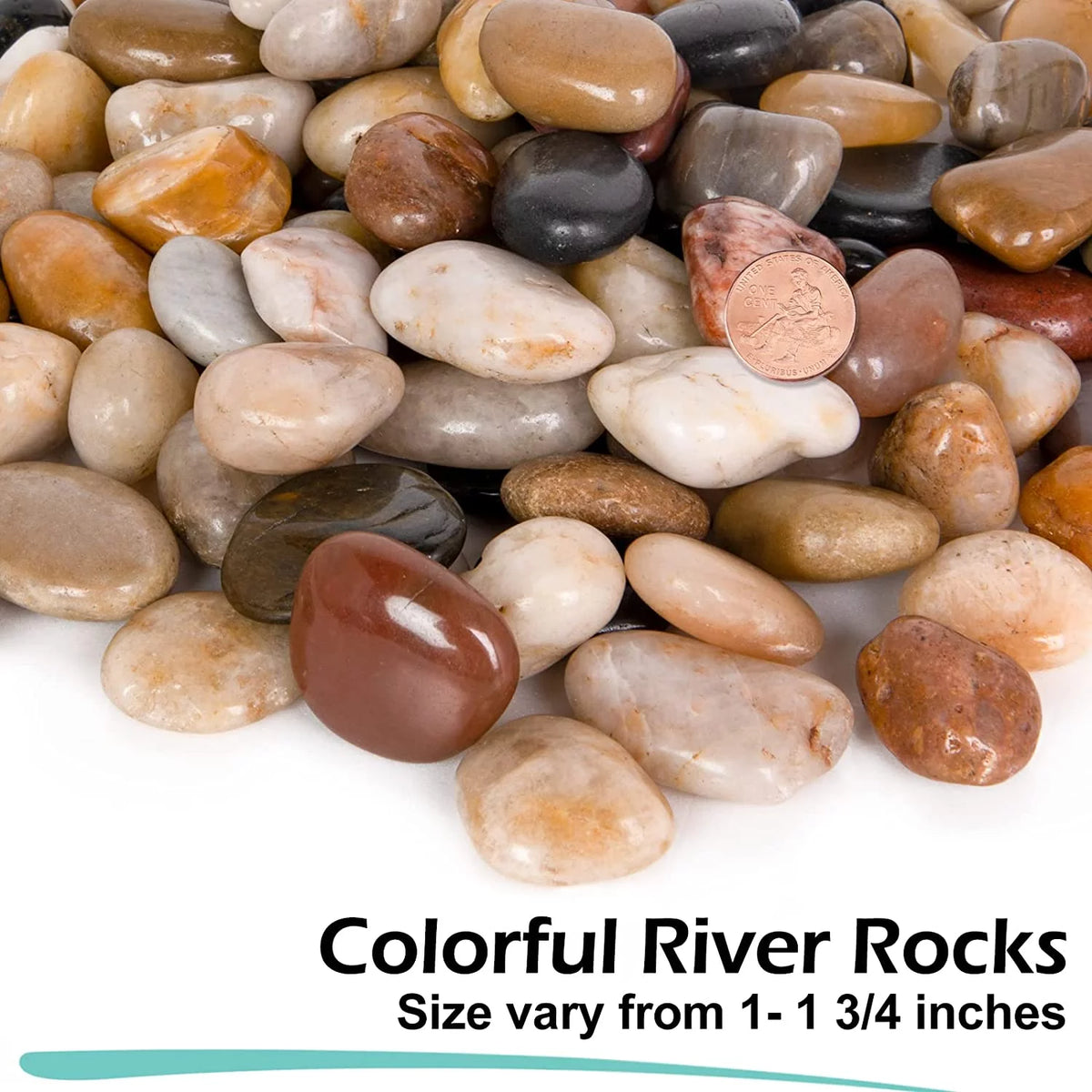 15 Pounds Polished River Rocks 1 to 1 3/4 Inch R272