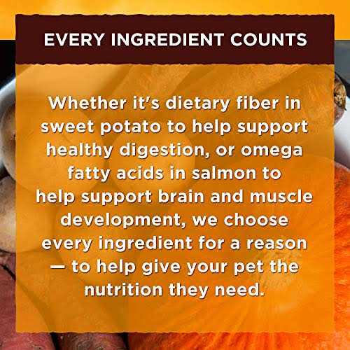Chicken Recipe Wet Dog Food in Broth Y409343
