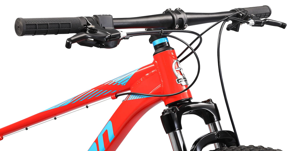 29 inch Mens Mountain Bike, 17 inch Frame Blue U409