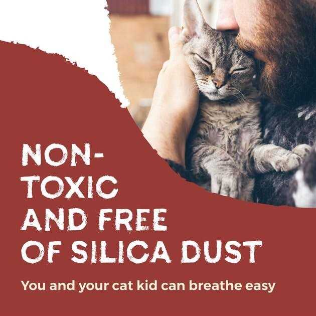Walnut Shells Cat Litter J745334