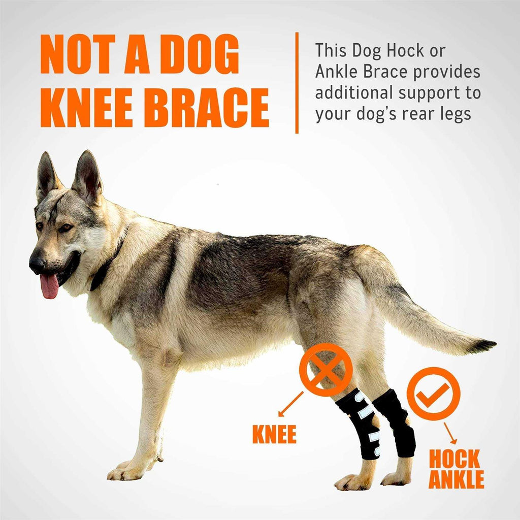 Dog Rear Leg Hock Metal Spring Strips Q951384