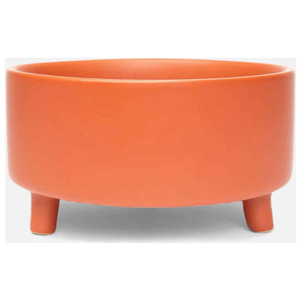 Ceramic Dog Bowl J91622