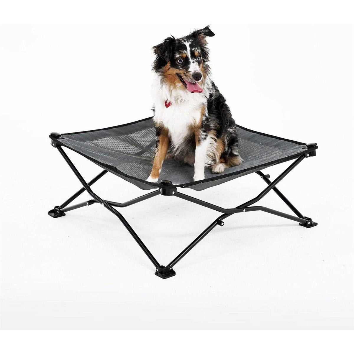 Elevated Pet Bed C46536