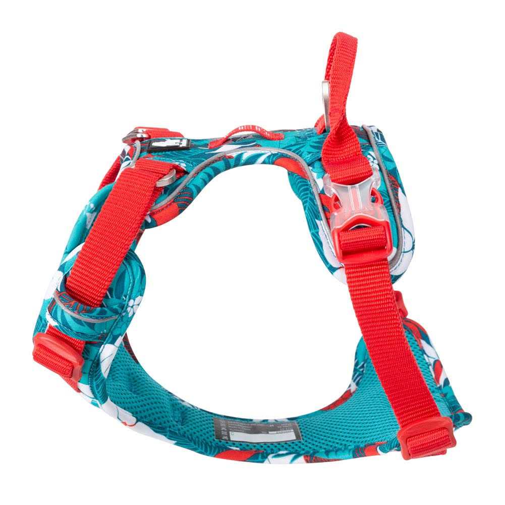 No Pull Dog Harness with Quick-Release Neck Strap N589