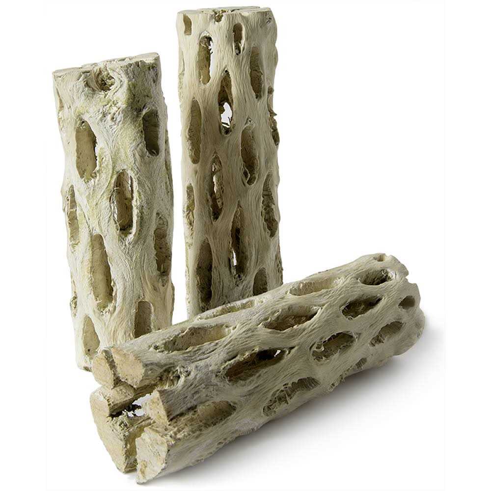 Cholla Wood L1241