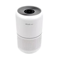 White True HEPA Air Purifier D613