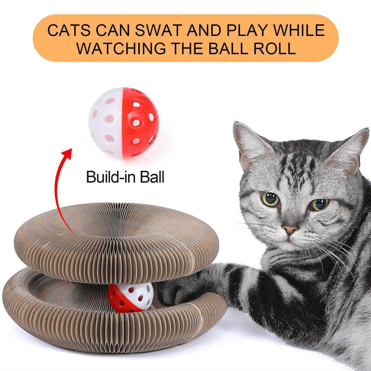 Magic Cats Scratching Board with Ball Y808357