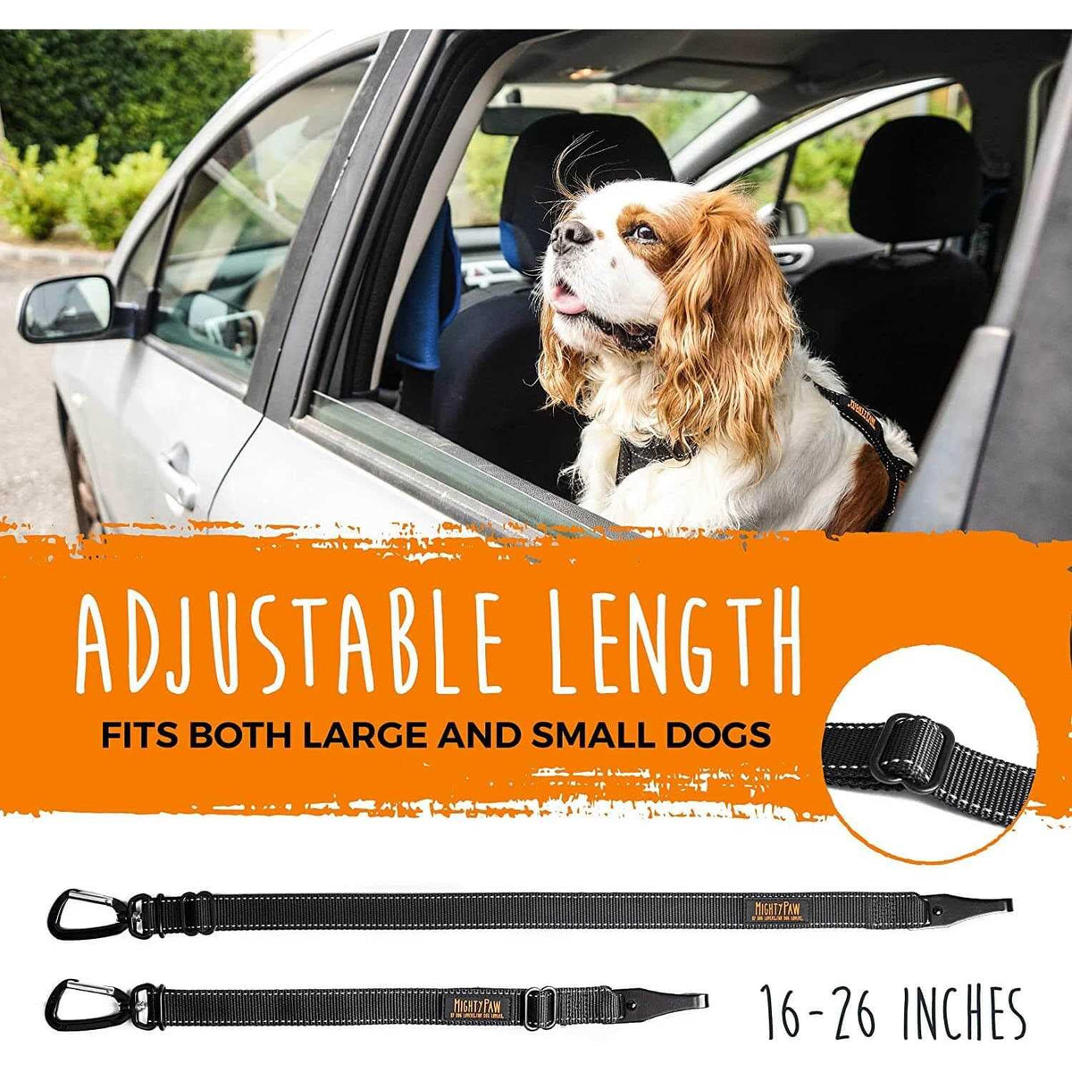 Dog Seat Belt G430450