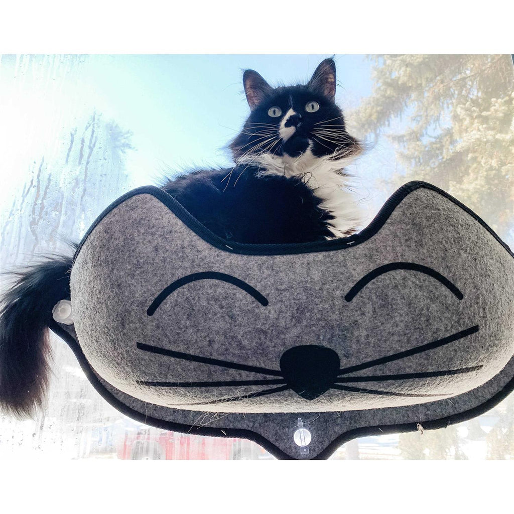 Window Pet Bed Q415
